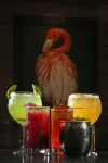 voco SALTILLO SUITES by IHG - bar
