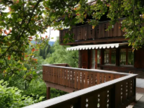 Tree-Tops, Chalet Hotels in Gstaad