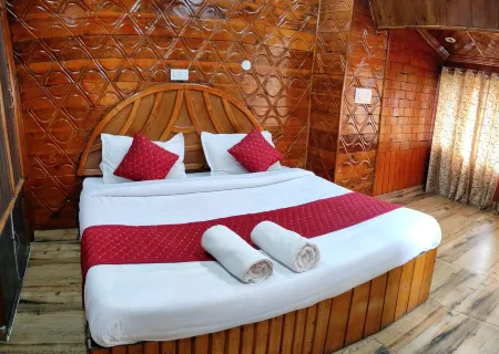 Hotel Shiba International Отели в г. Udhampur