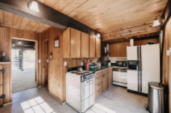 Mt Baker Apt, Pets OK, Wifi and AC