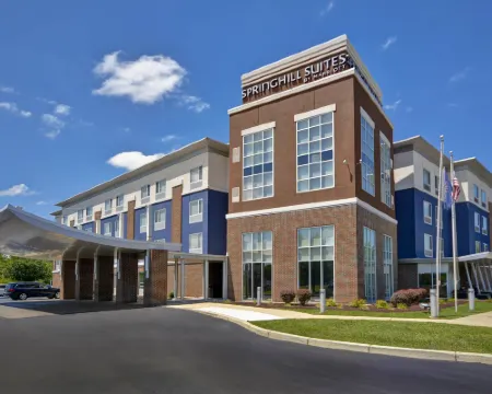 SpringHill Suites Indianapolis Airport/Plainfield Hotels in Hendricks County