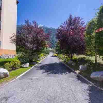 Grand Roc C213 from Slopes 280m, Mont-Blanc View, Parking & WiFi - Happy Rentals Others