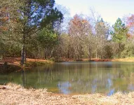 Rustique Cabin at Briarcreek Farm, Downstairs Only,  Sleeps 4