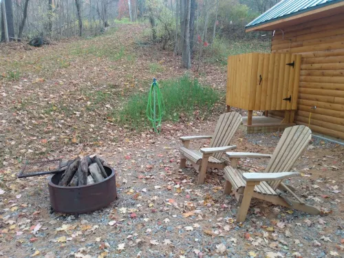 Located in the Finger Lakes a cabin in the country w/ trails & fishing