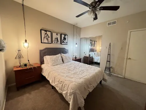 Cozy Condo near NRG/Med Center