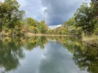 Secluded Treehouse in the Woods 10 Minutes to Landing & Sdc!