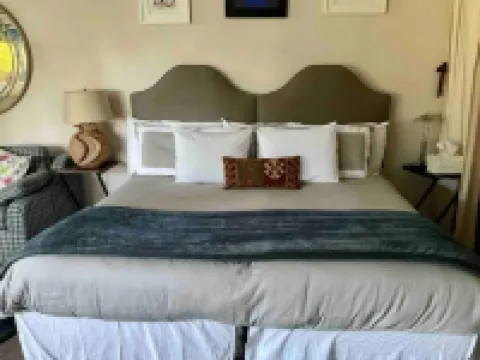 Treetop Refuge in Oakland Hills