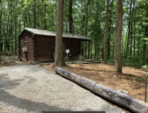 1 Bedroom,1 Bath, Porch, Fire Pit, Grill, Beautiful Wooded Location, Wi-Fi also!