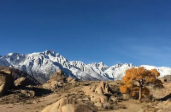 Walk to Main St! 20 min drive to Whitney Portal. High speed internet