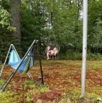 Relaxing rustic cabin on the lake 25 feet from the shore.