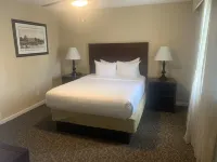 Top Rated Family Resort Destination. 4BDR lock-off from only $379 킹스밀 레크리에이셔널 사커 공원 주변 호텔