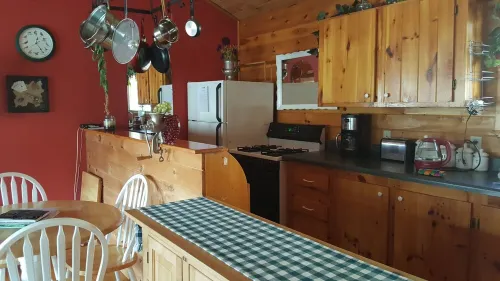 Wild Bills Riverfront Escape - Garden hot tub