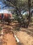 Ranchito Paraiso: Artsy Farm Stay in the Desert