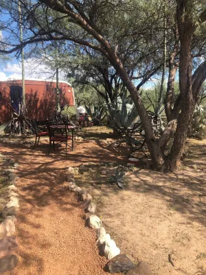 Ranchito Paraiso: Artsy Farm Stay in the Desert