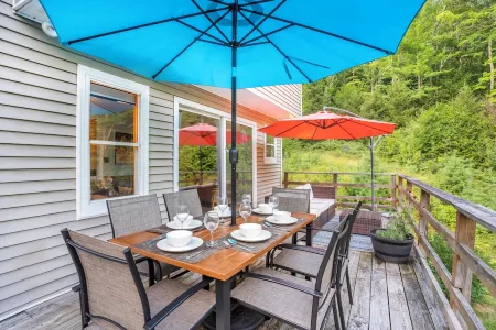 Starry Skies: 7min to SkiStratton+PikesFalls+DogOK