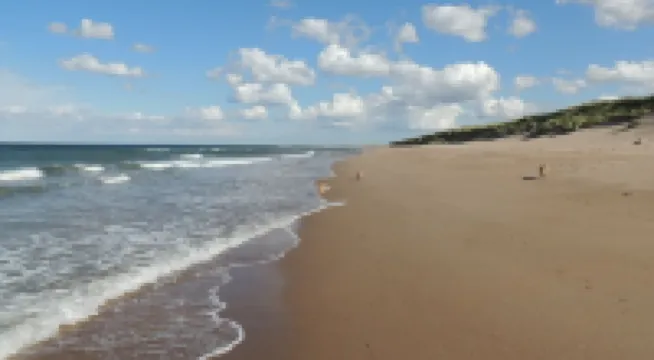 Cosy pet friendly farm cottage, 15 minutes to Northumberland coast!