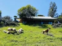 Hideaway Country Cottage Hotel a Toodyay