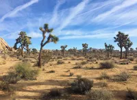 Modern Oasis. Close to National Park, Views, FirePit, Family & Pet Friendly