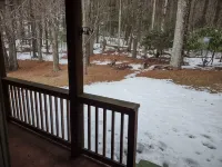 Remote cabin with gorgeous view and sunsets, pets free, fast Wi-Fi!