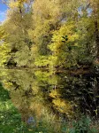 Gemütliche Ferienwohnung Ganz nah am Fluss