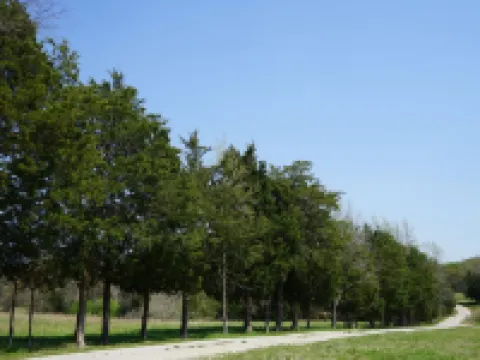 Red Fox Farms Guest House 蘭開斯特縣酒店