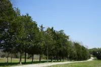 Red Fox Farms Guest House