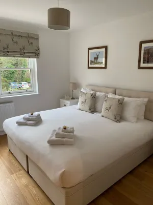 Luxury flat
