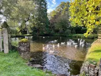 Between Exmoor and Dartmoor Luxurious Cottage on 15th Century Farm with Pool Hotels in Tiverton