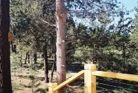 Riviera Des Chutes (River of the Falls) Cabin in the Woods