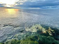 The Bay Shore Shire Waterfront ‘Hobbit’ Home • Stunning Sunsets • Earth Covered