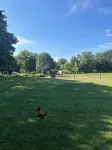 Spacious 27’ RV on horse farm