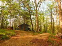 Line Camp Cabin is Secluded in The Woods Near The River.