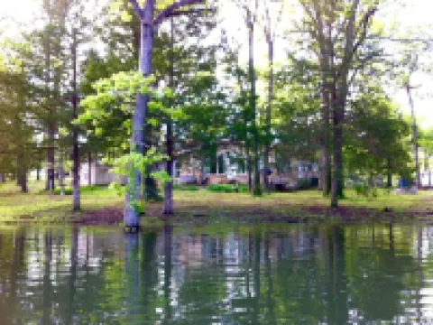 Amazing Table Rock Lake Home! Easy access to Silver Dollar City & Branson.