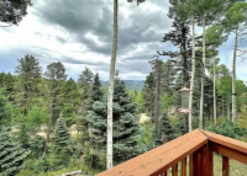 Mountainside Chalet with Views! Private 2 Acres. 4Beds, 3 Baths 2 Master Suites.