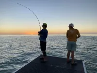 Waterfront island retreat Hotels in Placida