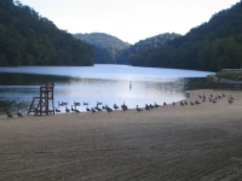 Newly renovated home! One block from Back of the Dragon-Close to downtown Marion Hotels in Smyth County