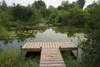 Backyard Trails and Lake Hayward with Canoe!