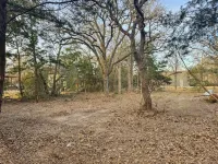 Little Black Cabin in the Oaks