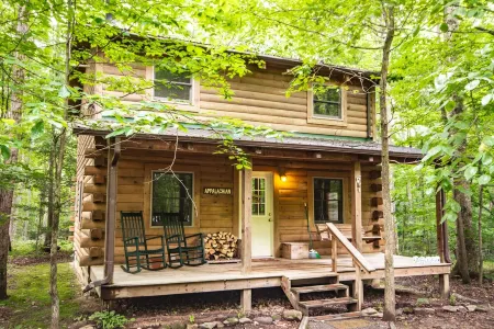 Pet Friendly Appalachian Cabin!