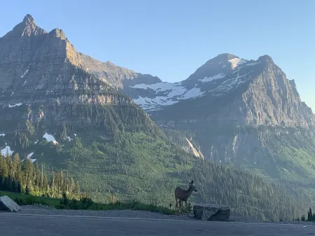 Downtown Columbia Falls Condo Отели рядом с достопримечательностью «Montana Vortex and House of Mystery»