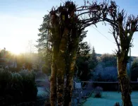 Traditional Scottish Cottage