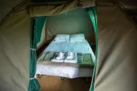 Old Mac Daddy Luxury Trailer Park