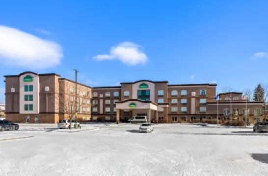 Wingate by Wyndham Calgary South Hotels in Calgary