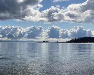 Charming 2-bedroom cottage with AC, High Speed WiFi in gorgeous Hansville.