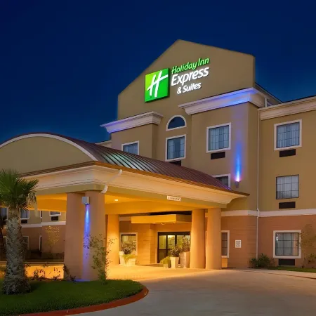 Holiday Inn Express & Suites KINGSVILLE by IHG