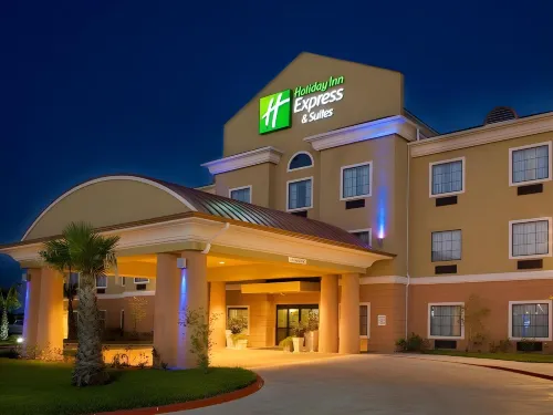 Holiday Inn Express & Suites KINGSVILLE by IHG - WiFi