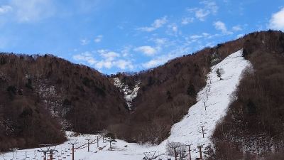 ホテル周辺 高山わんわんパラダイスの写真