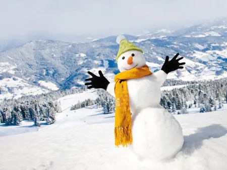 Lovely Chalet on the Ski Slope