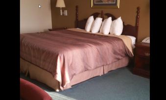 Collins Inn & Suites