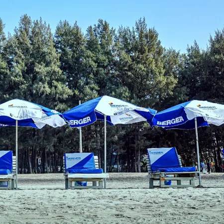 Seagull Hotel Ltd